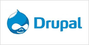 drupal, drupal website development, drupal customization, drupal programming
